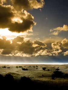 Preview wallpaper clouds, sun, light, outlines, earth, bushes, sky, beams