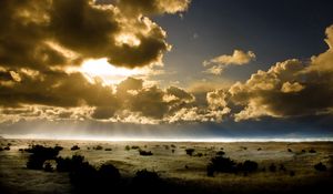 Preview wallpaper clouds, sun, light, outlines, earth, bushes, sky, beams