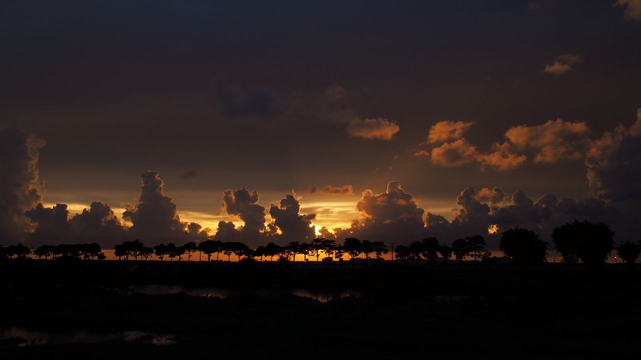 Wallpaper clouds, sunset, horizon, trees, sky, night, dark