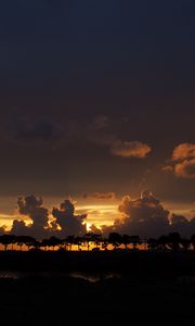 Preview wallpaper clouds, sunset, horizon, trees, sky, night, dark