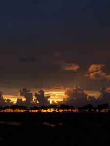 Preview wallpaper clouds, sunset, horizon, trees, sky, night, dark