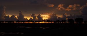 Preview wallpaper clouds, sunset, horizon, trees, sky, night, dark