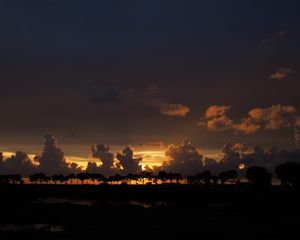 Preview wallpaper clouds, sunset, horizon, trees, sky, night, dark