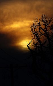 Preview wallpaper clouds, tree, silhouettes, sunset, dark