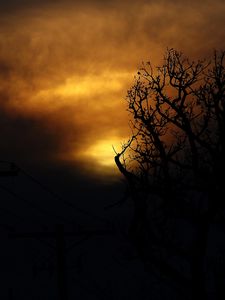 Preview wallpaper clouds, tree, silhouettes, sunset, dark