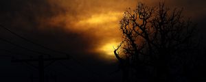 Preview wallpaper clouds, tree, silhouettes, sunset, dark