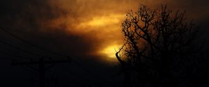 Preview wallpaper clouds, tree, silhouettes, sunset, dark