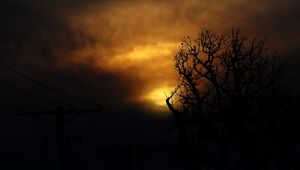 Preview wallpaper clouds, tree, silhouettes, sunset, dark