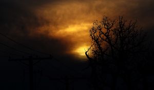 Preview wallpaper clouds, tree, silhouettes, sunset, dark