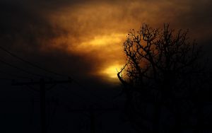Preview wallpaper clouds, tree, silhouettes, sunset, dark
