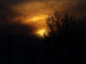Preview wallpaper clouds, tree, silhouettes, sunset, dark