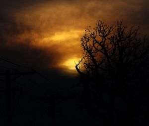 Preview wallpaper clouds, tree, silhouettes, sunset, dark