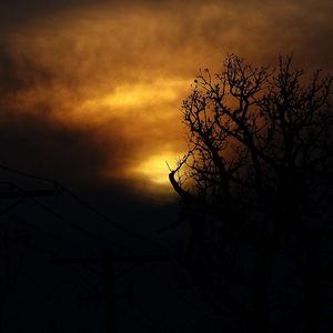 Preview wallpaper clouds, tree, silhouettes, sunset, dark