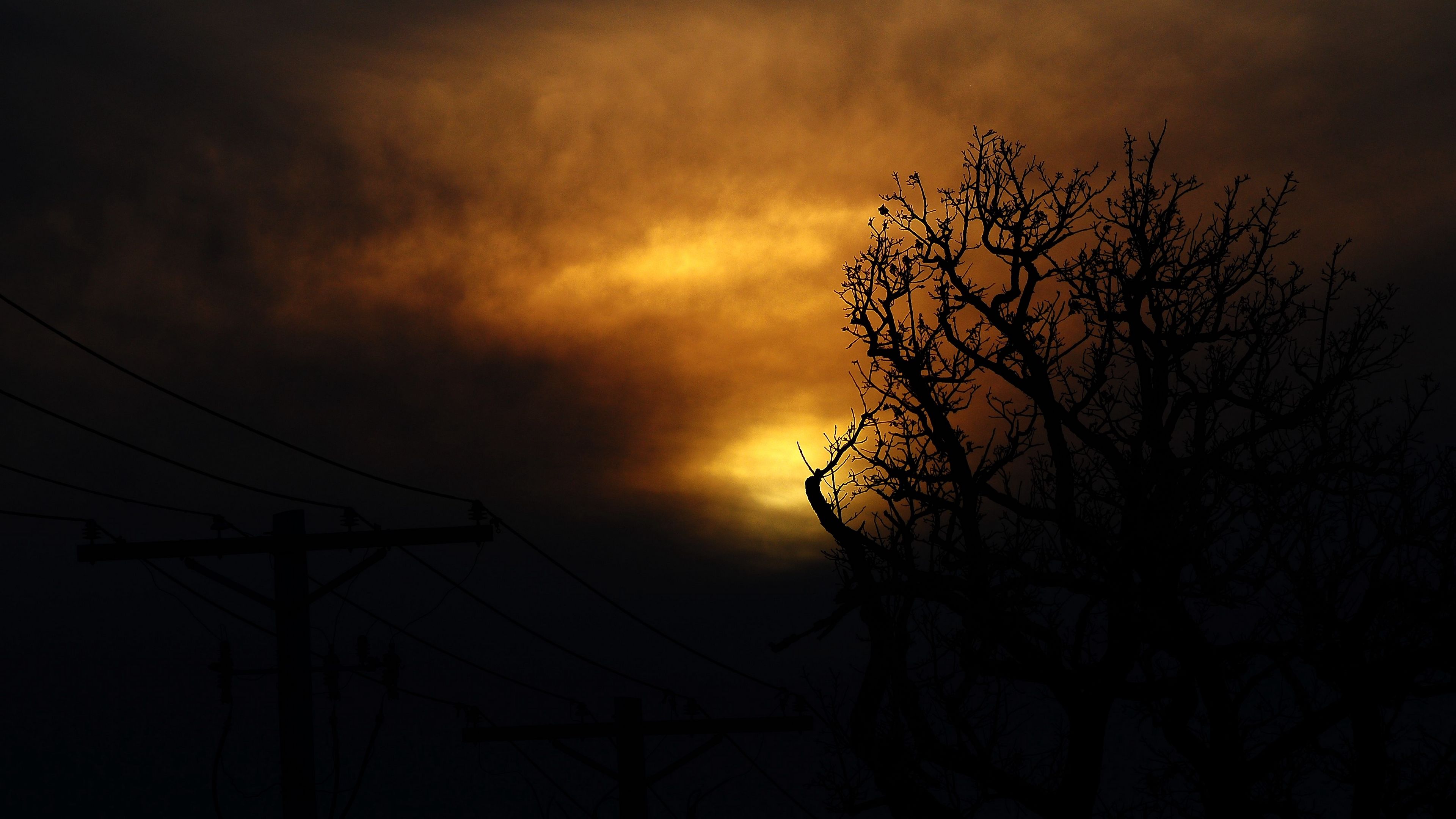 3840x2160 Wallpaper clouds, tree, silhouettes, sunset, dark
