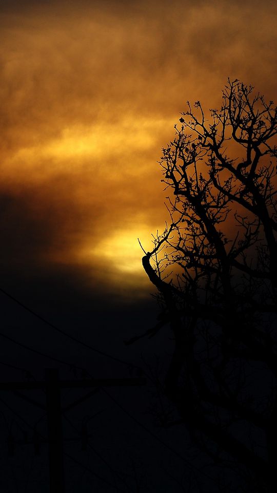 540x960 Wallpaper clouds, tree, silhouettes, sunset, dark