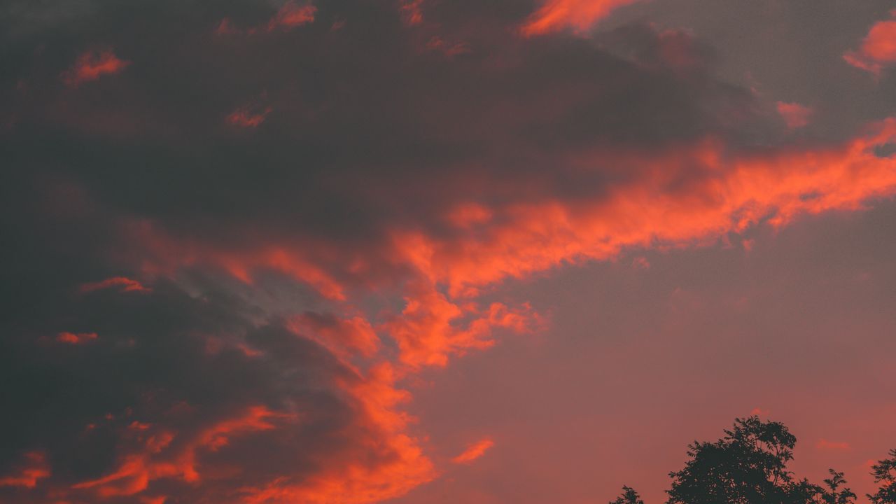 Wallpaper clouds, tree, sky, sunset, orange