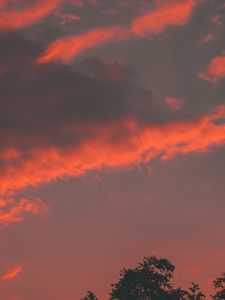 Preview wallpaper clouds, tree, sky, sunset, orange