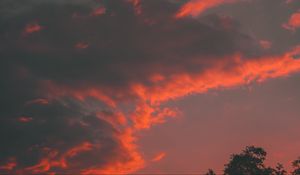 Preview wallpaper clouds, tree, sky, sunset, orange