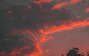 Preview wallpaper clouds, tree, sky, sunset, orange