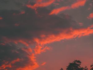Preview wallpaper clouds, tree, sky, sunset, orange