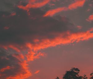 Preview wallpaper clouds, tree, sky, sunset, orange