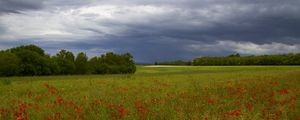 Preview wallpaper clouds, trees, field, flowers