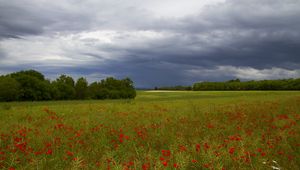 Preview wallpaper clouds, trees, field, flowers