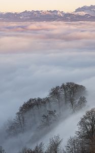 Preview wallpaper clouds, trees, mountains, landscape