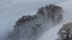 Preview wallpaper clouds, trees, mountains, landscape