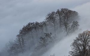 Preview wallpaper clouds, trees, mountains, landscape