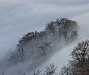 Preview wallpaper clouds, trees, mountains, landscape