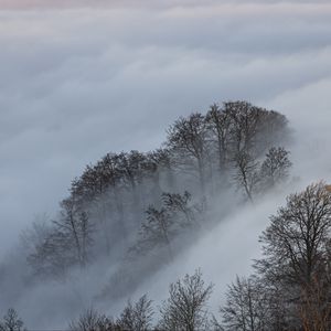 Preview wallpaper clouds, trees, mountains, landscape