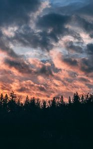 Preview wallpaper clouds, trees, sky, sunset