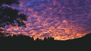 Preview wallpaper clouds, trees, sunset, porous, evening