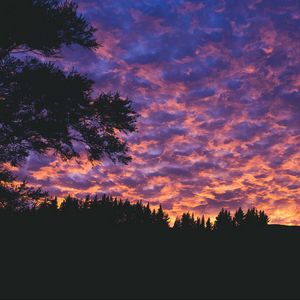 Preview wallpaper clouds, trees, sunset, porous, evening