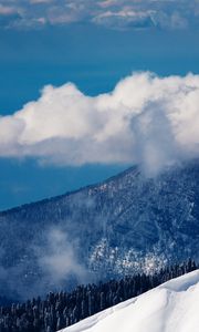 Preview wallpaper clouds, volume, mountains, wood, sky, height