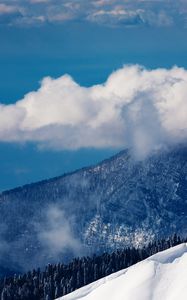 Preview wallpaper clouds, volume, mountains, wood, sky, height