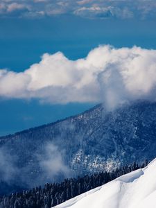 Preview wallpaper clouds, volume, mountains, wood, sky, height