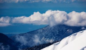 Preview wallpaper clouds, volume, mountains, wood, sky, height