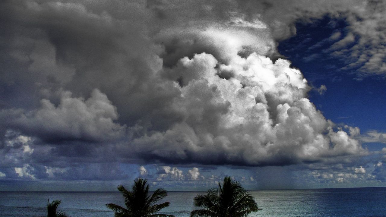 Wallpaper clouds, volume, sky, palm trees, sea