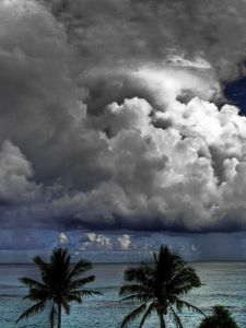 Preview wallpaper clouds, volume, sky, palm trees, sea