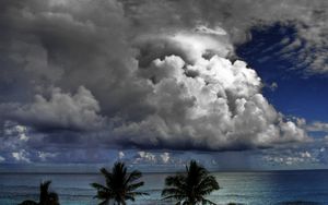 Preview wallpaper clouds, volume, sky, palm trees, sea