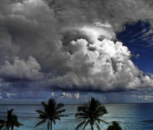 Preview wallpaper clouds, volume, sky, palm trees, sea