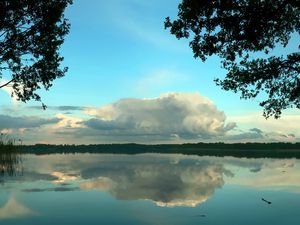 Preview wallpaper clouds, volume, trees, reflection, pond