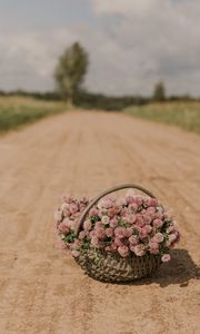 Preview wallpaper clover, flowers, bouquet, basket, road