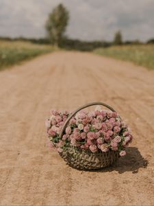 Preview wallpaper clover, flowers, bouquet, basket, road