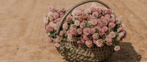 Preview wallpaper clover, flowers, bouquet, basket, road