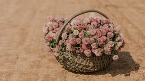 Preview wallpaper clover, flowers, bouquet, basket, road