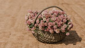 Preview wallpaper clover, flowers, bouquet, basket, road