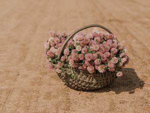 Preview wallpaper clover, flowers, bouquet, basket, road